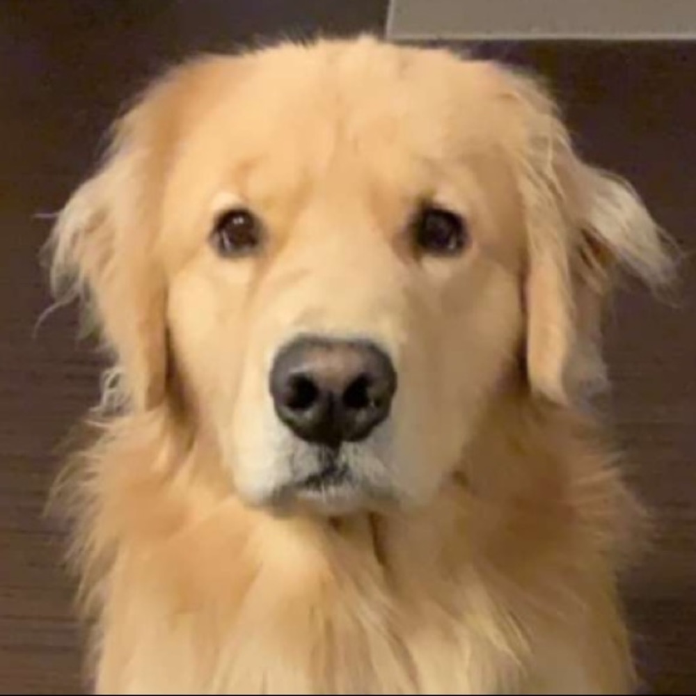 Meet your Posher, Tayler